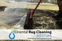 Oriental Rug Cleaning Aventura image 4